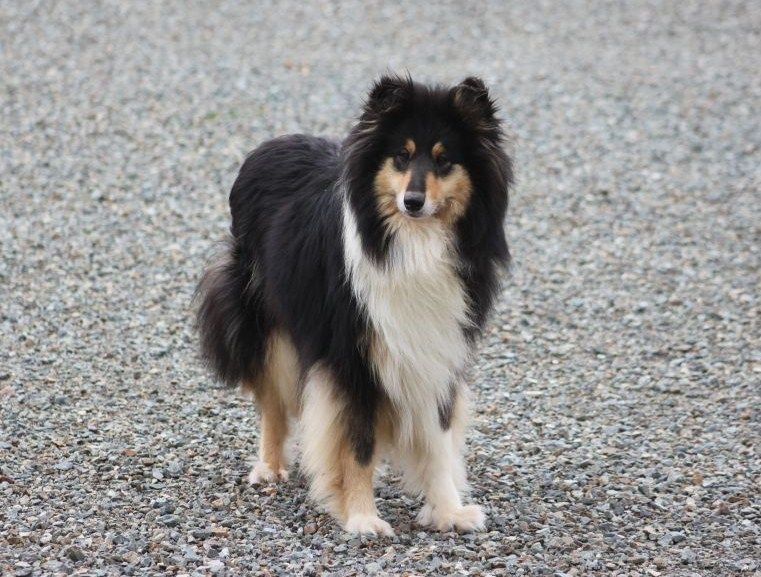 Grazia in esso de la Déesse des Moissons